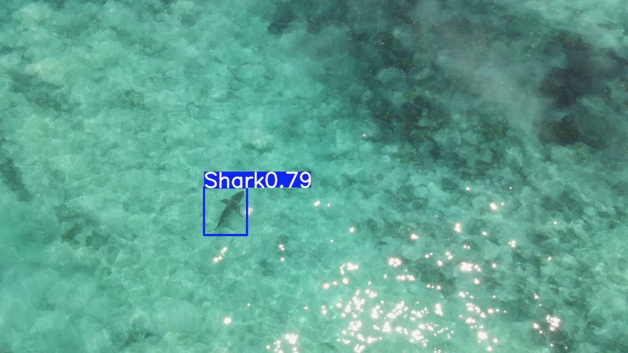 Shark Detection Drone